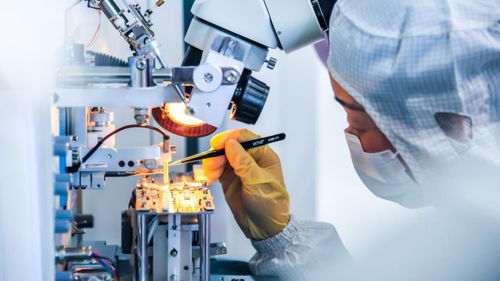 激勵更多年輕人走技能成才技能報國之路——以網(wǎng)絡科技技術開發(fā)為例